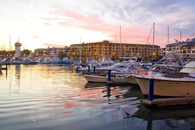 Hop On Hop Off Tour with Free Stops in Puerto Vallarta - Key things I’d watch (before you board)