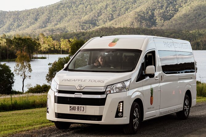 Hop on Hop off Wine tasting tour to Tamborine Mountain - Brisbane to Tamborine Mountain: The Part That Sets the Mood