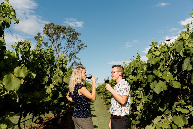 Hop on Hop off Wine tasting tour to Tamborine Mountain - Hop-On Hop-Off Time and Gallery Walk Shopping