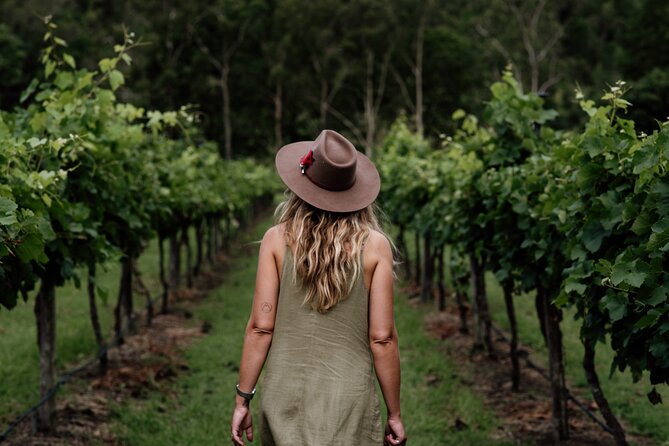 Hop on Hop off Wine tasting tour to Tamborine Mountain - Price and Value: Is $118.35 Worth It?