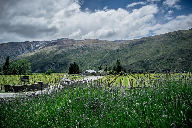 Hop on Hop off Wine Tours Queenstown - How the hop on hop off system really works (and where people trip up)