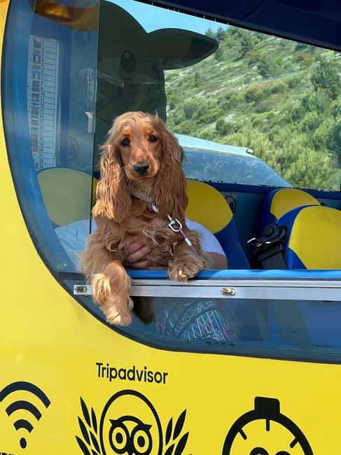 Hop-On Hop-Off Yellow Cabrio Tour: See Dubrovnik in 90mins - Inside the open-air cabrio: comfort, visibility, and a little wind therapy