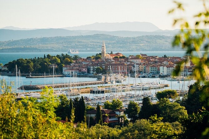 Hop & Taste Slovenian Riviera Hop-On Hop-Off & Local Bites - Meeting at the Pier: Where Your Day Actually Starts