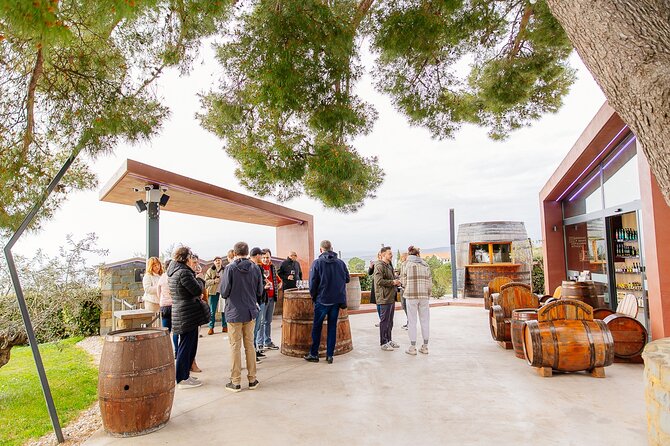 Hop & Taste Slovenian Riviera Hop-On Hop-Off & Local Bites - Wine Village Marezige: Wine and Olive Oil Tastings With Real Limits