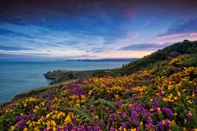Howth Coastal Half-Day Bus Tour from Dublin with Live Guide - Getting started at 13 O’Connell Street Upper, then out to the coast
