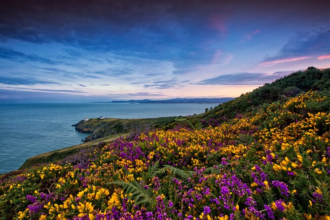 Howth Coastal Half-Day Bus Tour from Dublin with Live Guide - Getting started at 13 O’Connell Street Upper, then out to the coast