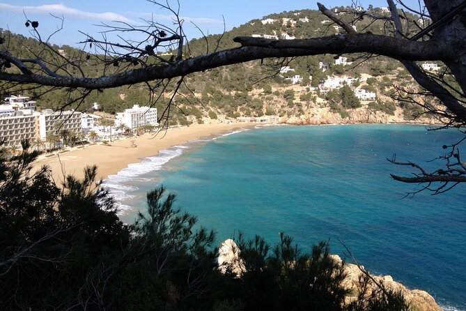 Ibiza Tour Island Bus Tour with Hippie Market Visit - Should You Book the Vuelta Isla Island Bus Tour with Hippie Market Visit?