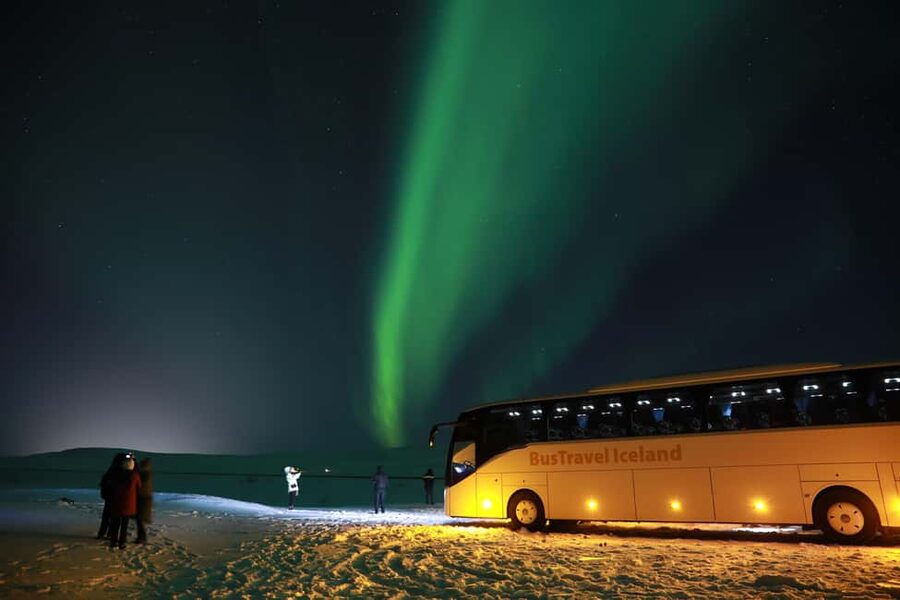 Iceland: Northern Lights Bus Tour from Reykjavik - Price, Timing, and What 4 Hours Really Buys You