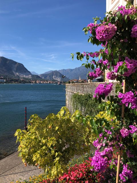 Isola Pescatori and Isola Bella Hop-On Hop-Off Boat Tour - Should you book this Isola Pescatori and Isola Bella tour?
