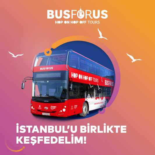Istanbul: 48-Hour Hop-On Hop-Off Double Decker Bus Ticket - Why this bus ticket is a strong “first Istanbul” move