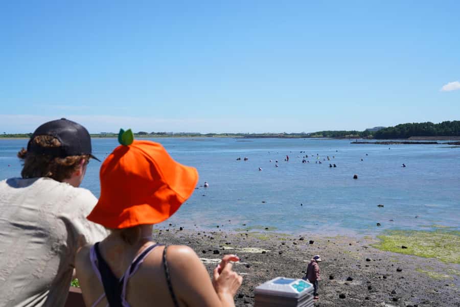 Jeju EAST Course : UNESCO (Seongsan-ilchulbong) BUS TOUR - Key points to know before you go