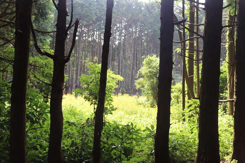 Jeju: East of Jeju Island Bus Tour from Seogwipo City - Price and value: is $88 worth a 9.5-hour East Jeju day?