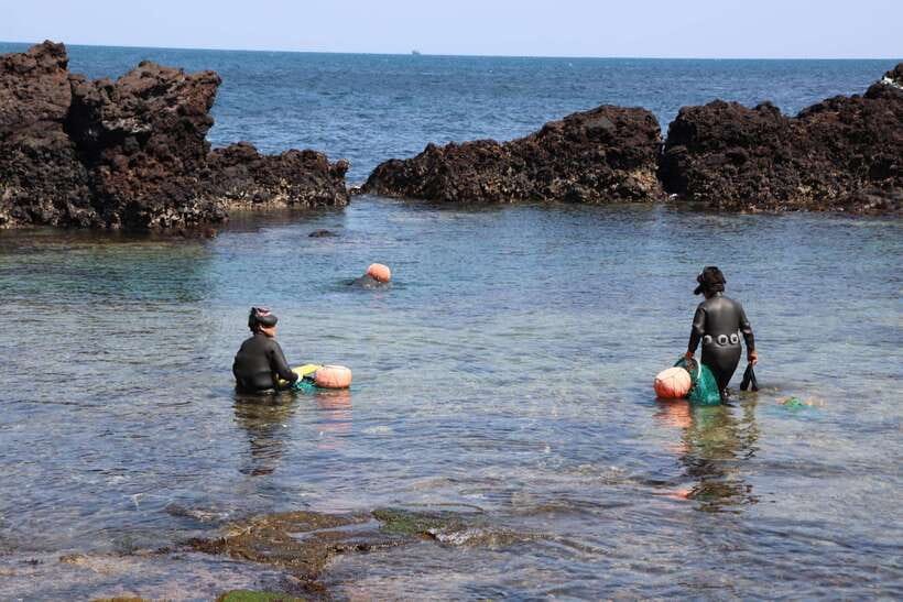 Jeju: East of Jeju Island Bus Tour from Seogwipo City - Woljeong-ri Beach: a short break with sea-color payoff