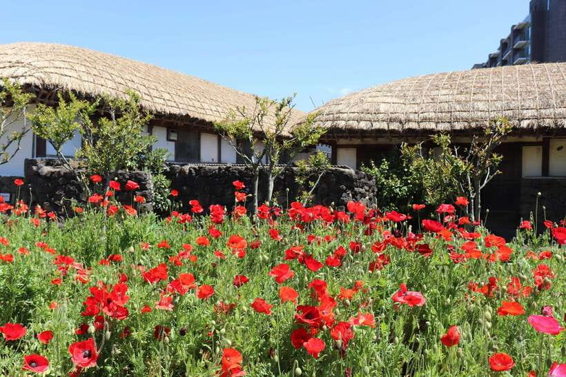 Jeju: East of Jeju Island Bus Tour from Seogwipo City - Manjanggul Cave versus Hamdeok-area alternatives (and what that means for your day)