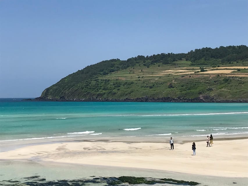 Jeju: East of Jeju Island Bus Tour from Seogwipo City - Driving days run longer than you think: pace, vehicles, and group size