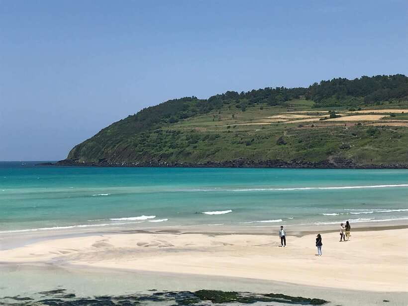 Jeju: East of Jeju Island Bus Tour from Seogwipo City - Wind, steps, and what to pack for a comfortable day