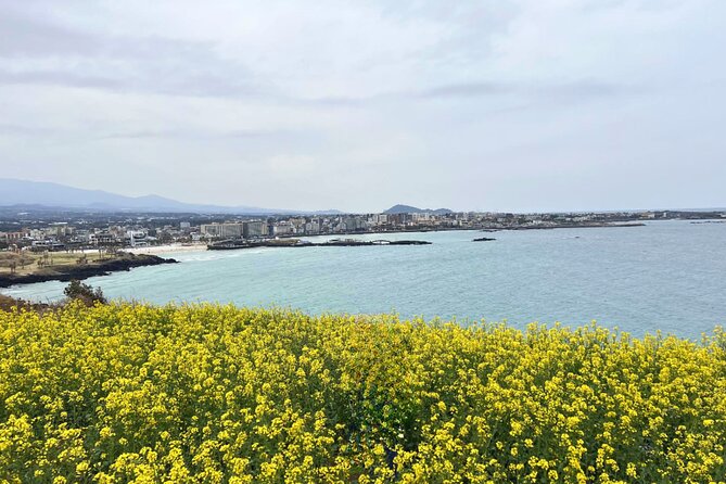 Jeju Eastern Must visit Unesco Bus Tour - Price and value: why $61.88 can feel fair here