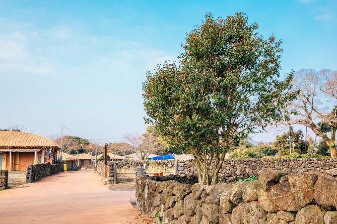 Jeju Eastern Must visit Unesco Bus Tour - Comfort, group size, and how the guides shape the day