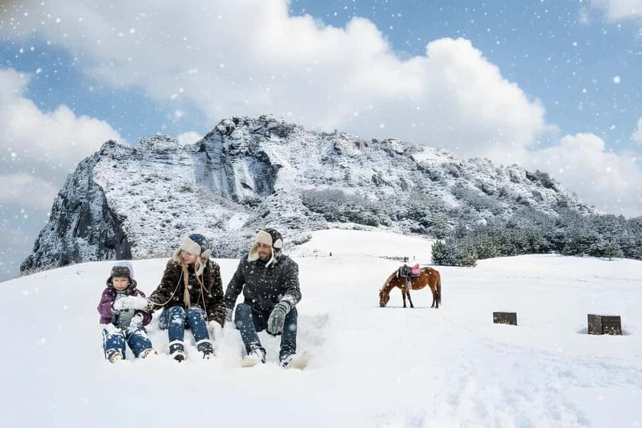 Jeju Island: Full-Day East Jeju Bus Tour with Entry Fees - Key highlights to plan for