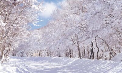 Jeju Island: Full-Day East Jeju Bus Tour with Entry Fees - Seongsan Ilchulbong volcano: the walk you’ll remember