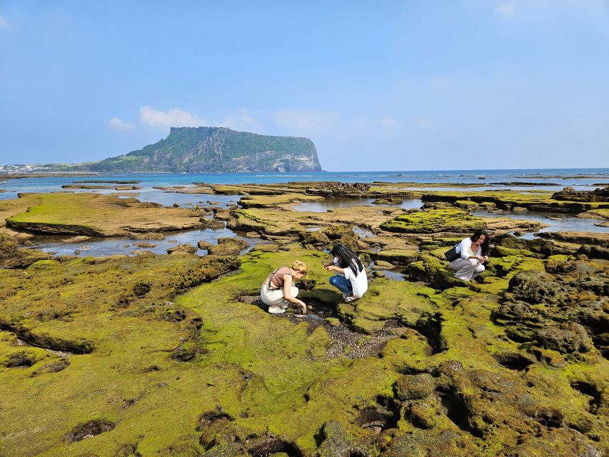 Jeju Island: Full-Day East Jeju Bus Tour with Entry Fees - Seongeup Folk Village and Jeju Stone Park: real-life context