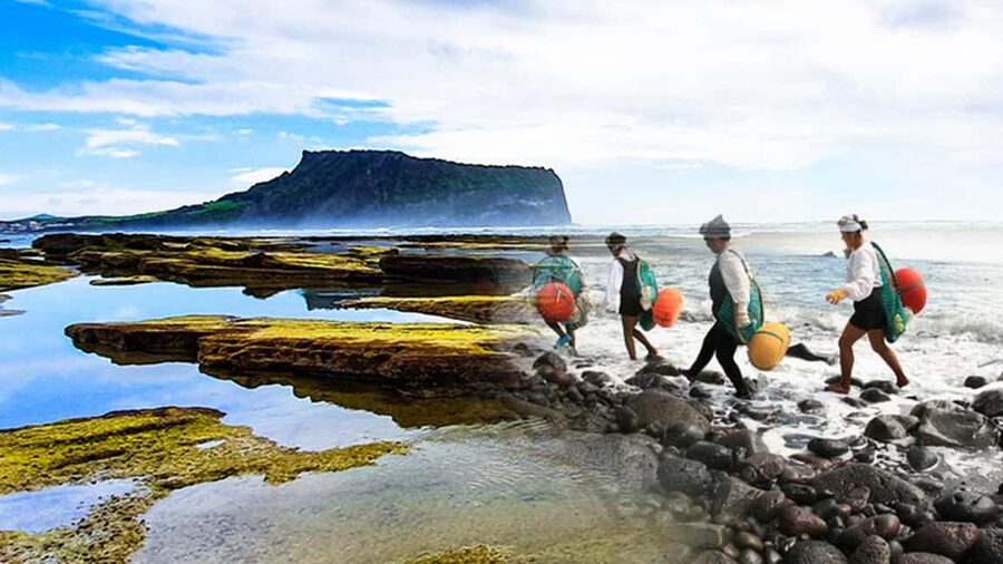 Jeju Island: Full-Day East Jeju Bus Tour with Entry Fees - Jeolmul Natural Forest: a calmer reset