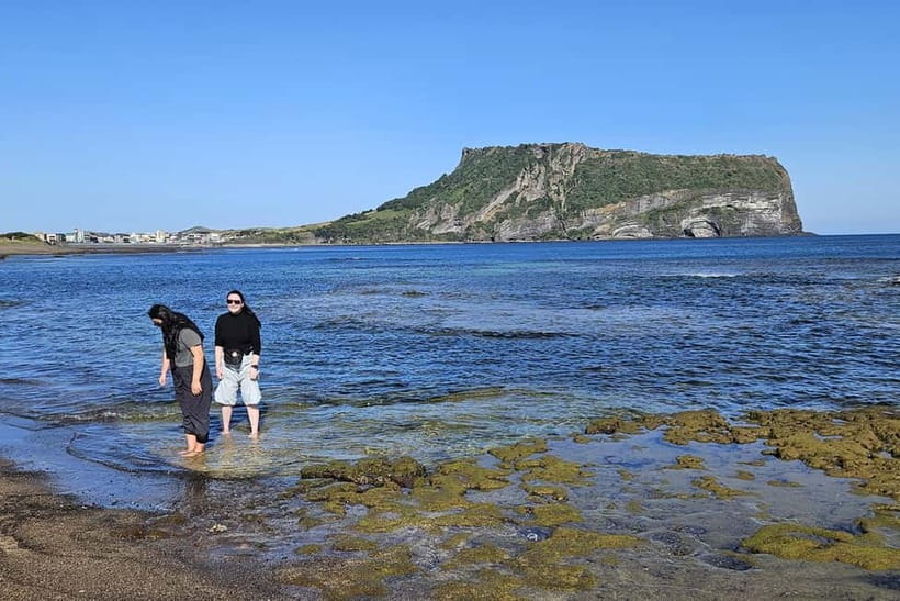 Jeju Island: Full-Day East Jeju Bus Tour with Entry Fees - Price and logistics: what you get for $55