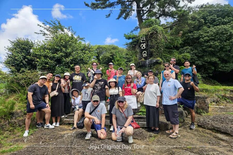 Jeju Island: Full-Day SouthWest Bus Tour with Entry Fees - Price and Logistics: Why $43 Can Make Sense