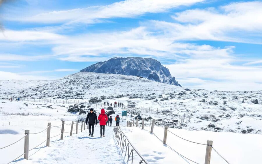 Jeju Island: Full-Day SouthWest Bus Tour with Entry Fees - West Jeju in One Day: What You’re Really Buying