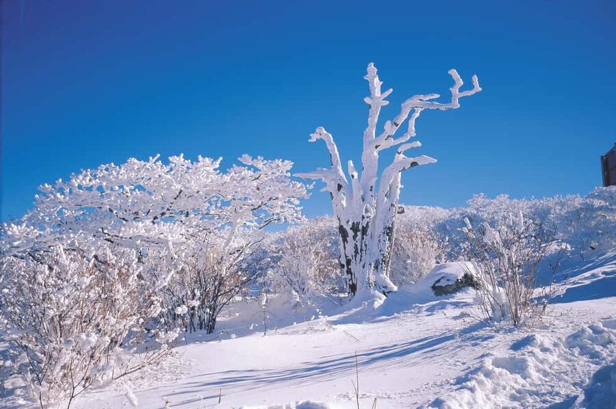 Jeju Island: Full-Day SouthWest Bus Tour with Entry Fees - Cheonjeyeon Waterfall: The Pond of the Gods Moment
