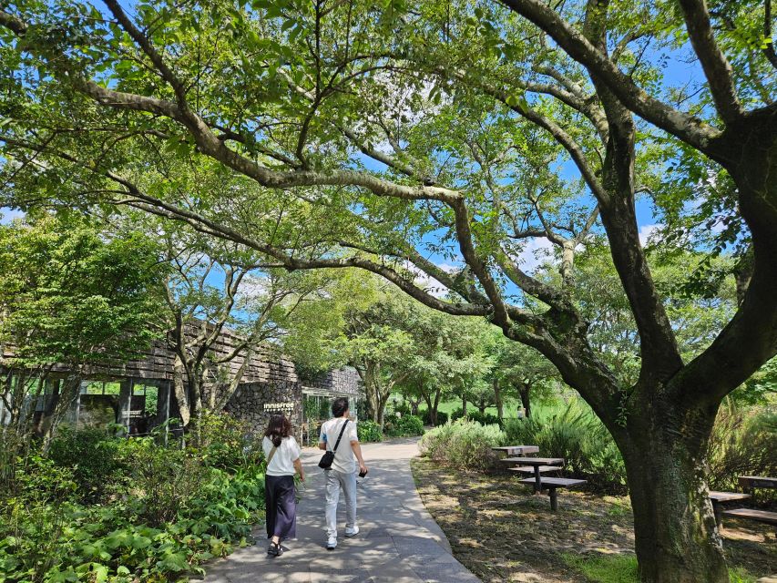 Jeju Island: Full-Day SouthWest Bus Tour with Entry Fees - O’sulloc Tea Fields & Museum: See the Green, Learn the Why