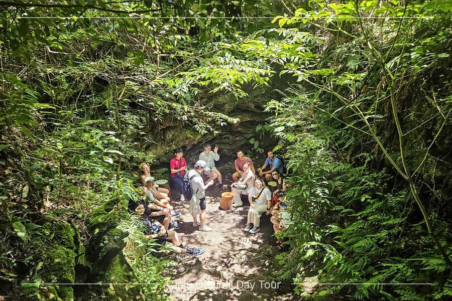 Jeju Island: Full-Day SouthWest Bus Tour with Entry Fees - Songaksan Coastal Walk: Volcanic Trails with Sea Views