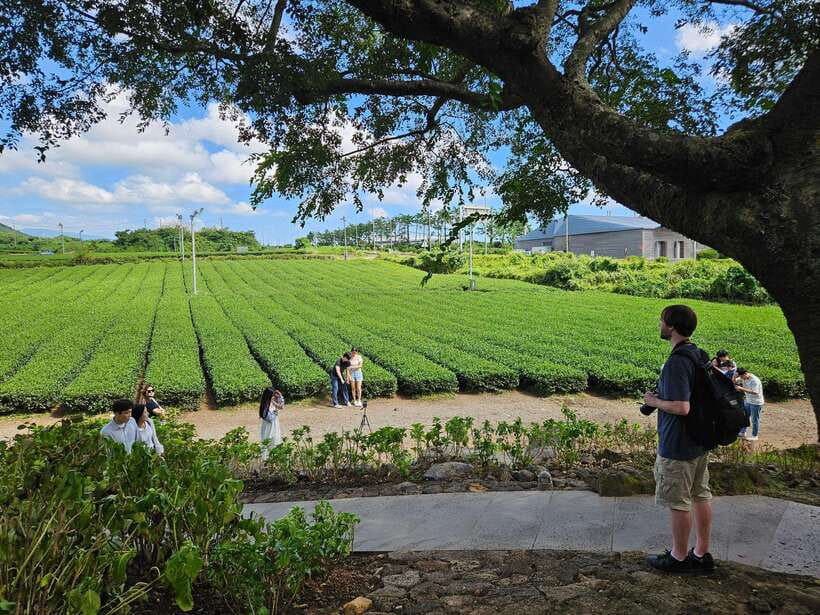 Jeju Island: Full-Day SouthWest Bus Tour with Entry Fees - Bomunsa Temple at Sanbangsan: Sea, Prayer, and Quiet Power