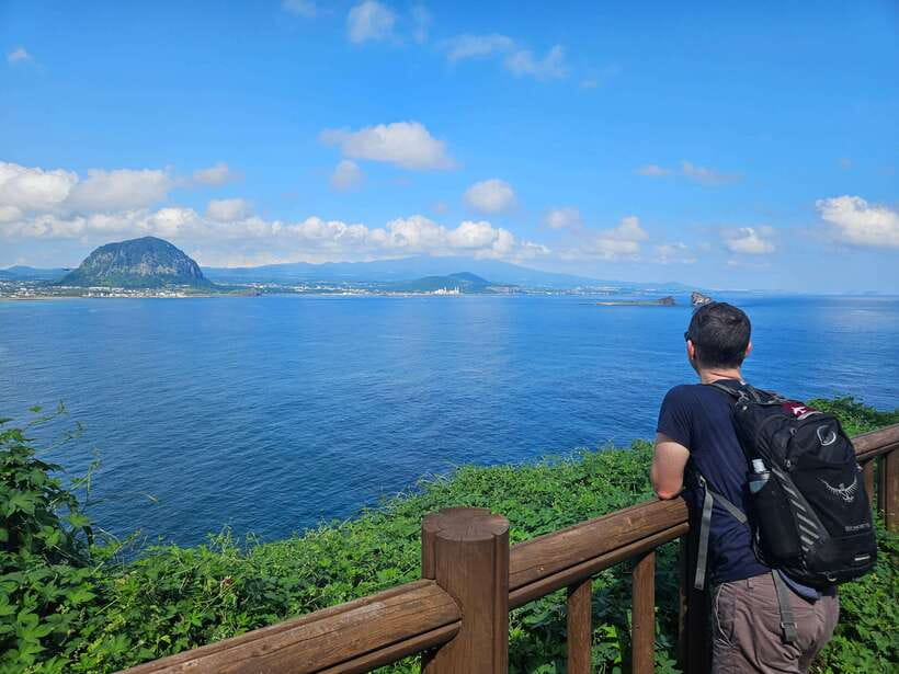 Jeju Island: Full-Day SouthWest Bus Tour with Entry Fees - Guide Quality Is the Real Superpower Here