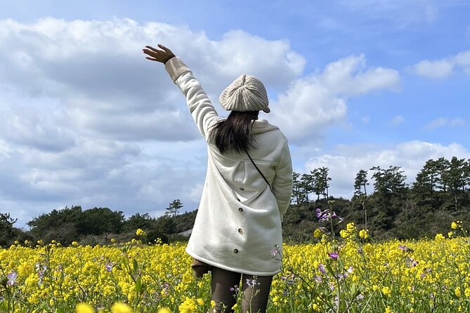 Jeju island Southern Unesco Mt.halla ONE day Bus Tour - Southern Jeju in One Shot: What This UNESCO Day Tour Covers