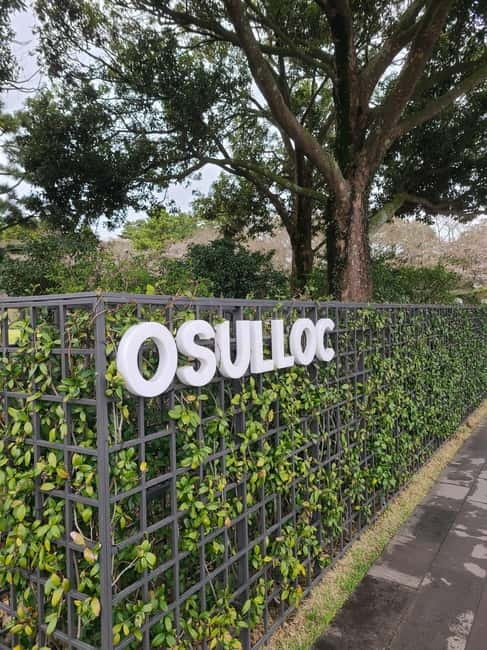 Jeju Southern: Mt.Hallasan and UNESCO Geopark Bus Tour - O’sulloc Green Tea Museum: A Real Break in Tea Country