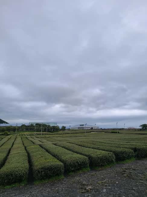 Jeju Southern: Mt.Hallasan and UNESCO Geopark Bus Tour - Price and Value: What $51 Covers (and What It Doesn’t)
