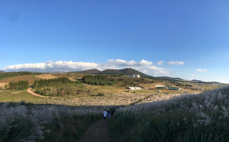 Jeju: West of Jeju Island Bus Tour from Seogwipo City - The value math: what $88 covers and where you still spend