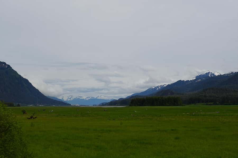 Juneau: City Highlights Bus Tour - What to bring: Juneau basics that actually help