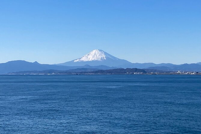 Kamakura & Enoshima 1 day bus tour from Tokyo and Yokohama - Hasedera Temple’s Eleven-headed Kannon and Flower Views