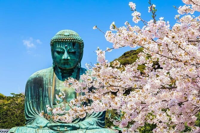 Kamakura Great Buddha and Enoshima with hotel Pickup small group - Key things you’ll notice right away