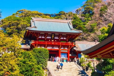Kamakura Great Buddha and Enoshima with hotel Pickup small group - Enoshima Island first: sea views and an easy start
