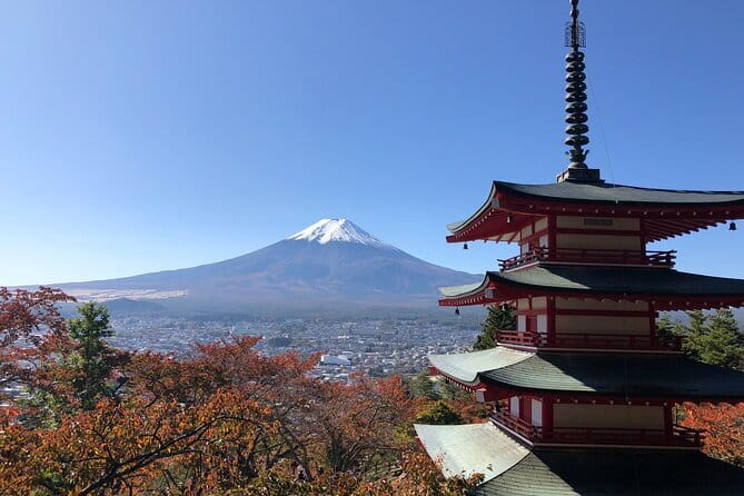 Kamakura Great Buddha and Enoshima with hotel Pickup small group - Tsurugaoka Hachimangu Shrine: the big walk and the main shrine energy