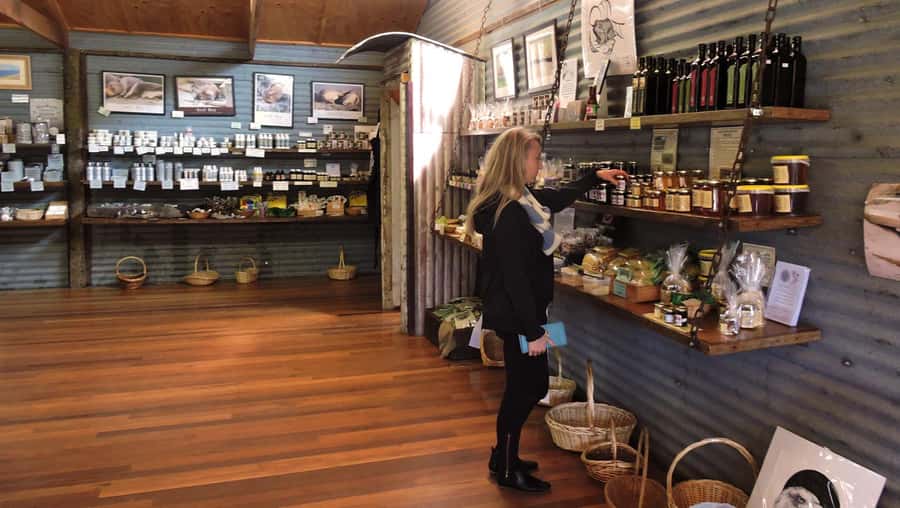 Kangaroo Island: Half-Day Tour Guided Coach Tour - Ligurian Bee Co and a Working Beehive Stop