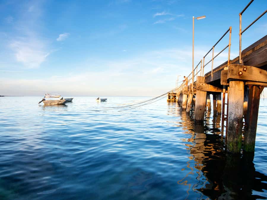 Kangaroo Island: Half-Day Tour Guided Coach Tour - Silo Art and the Giant Kangaroo Photo Moment
