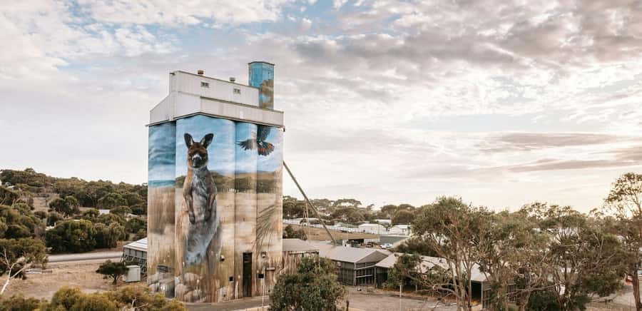 Kangaroo Island: Half-Day Tour Guided Coach Tour - Kangaroo Island Brewery Tasting: Craft Beer and Cider in One Stop
