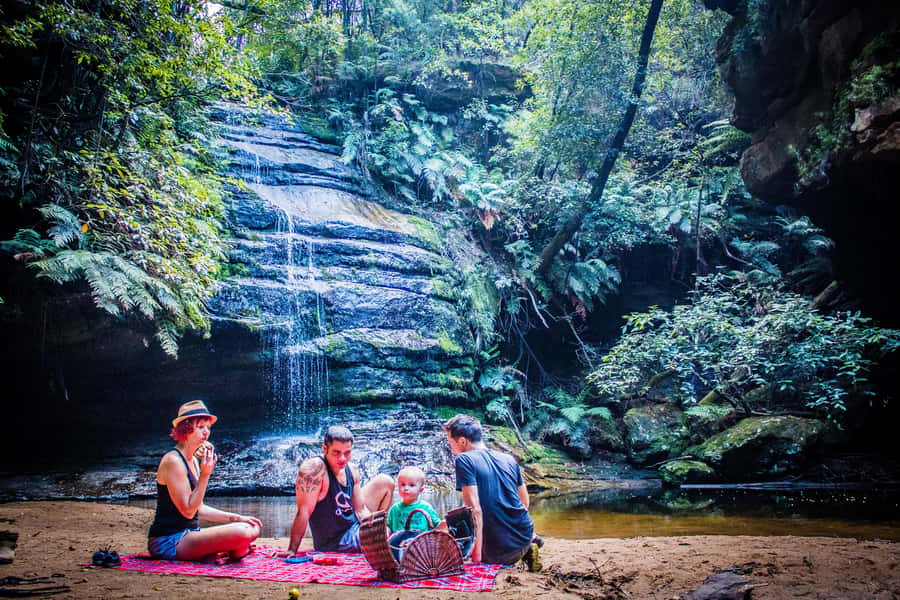 Katoomba: Blue Mountains Full-Day Hop-On Hop-Off Bus Tour - Key highlights at a glance