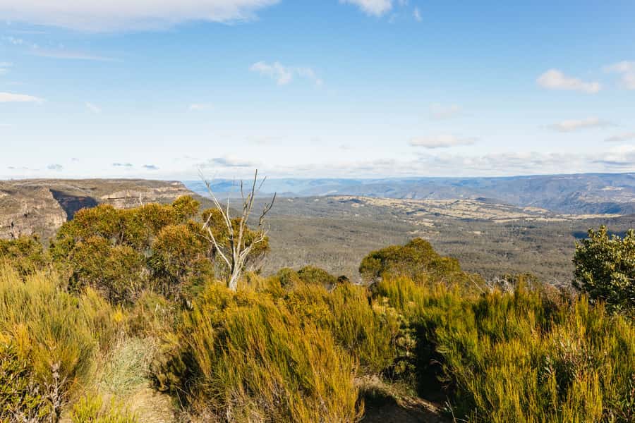 Katoomba: Lyrebird Hop-On Hop-Off and Scenic World Pass - Your day plan: using the loop like a local