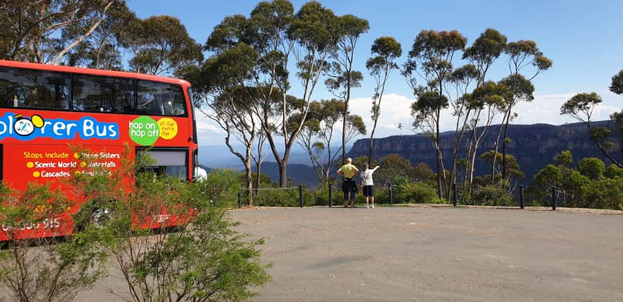 Katoomba: Lyrebird Hop-On Hop-Off and Scenic World Pass - Scenic Walkway: Jurassic Rainforest on an elevated boardwalk