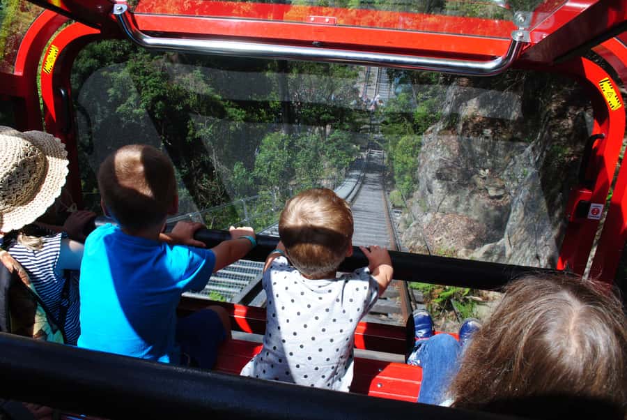 Katoomba: Lyrebird Hop-On Hop-Off and Scenic World Pass - Guide book plus live narration: how you avoid aimless wandering